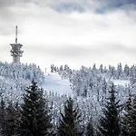 Meadows Klinovec Апартаменты Лоучна-под-Клиновцем