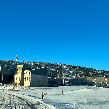 Meadows Klinovec 公寓 Loučná pod Klínovcem