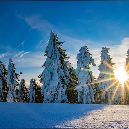 Daire Meadows Klinovec