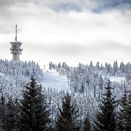 Meadows Klinovec 公寓 Loučná pod Klínovcem