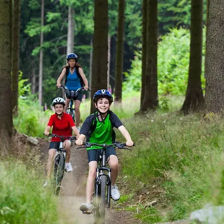 Meadows Klinovec Daire Loučná pod Klínovcem