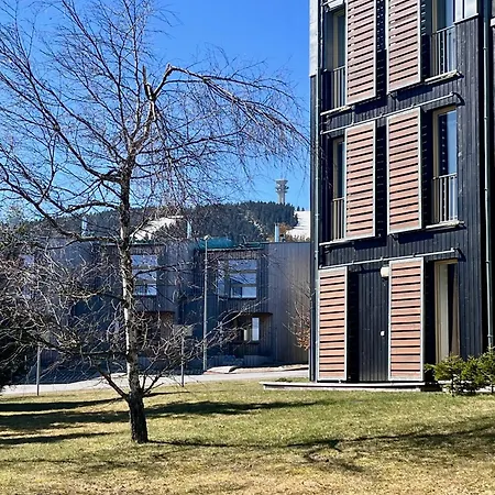 Meadows Klinovec * Loučná pod Klínovcem