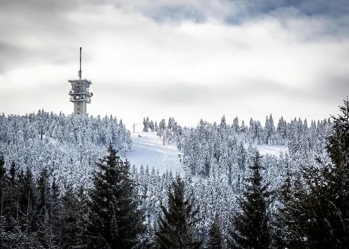 Meadows Klinovec شقة Loučná pod Klínovcem