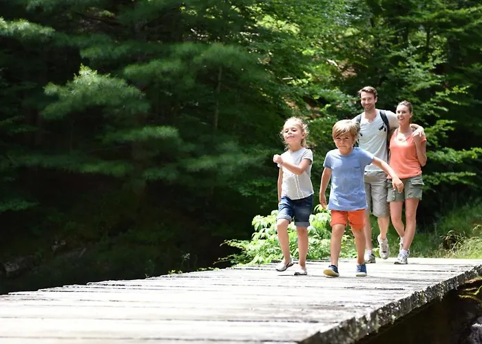 Meadows Klinovec Loucna pod Klinovcem