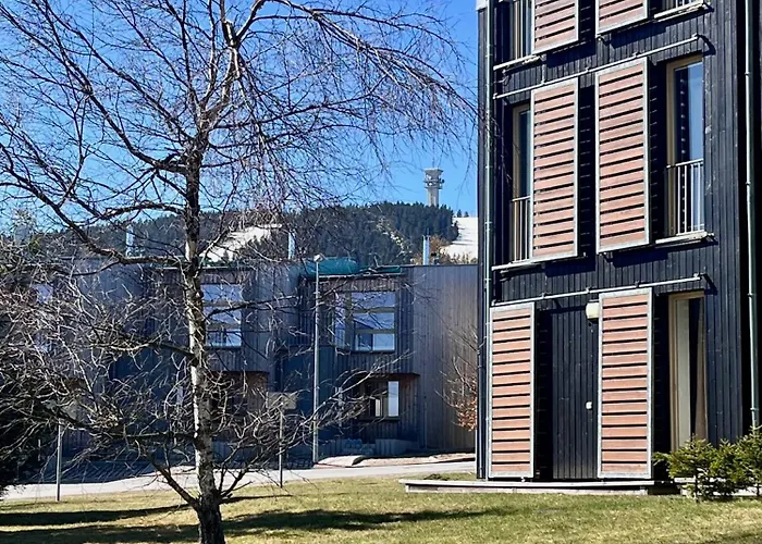 Meadows Klinovec * Loucna pod Klinovcem